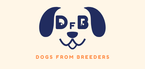 dogsfrombreeders.gr