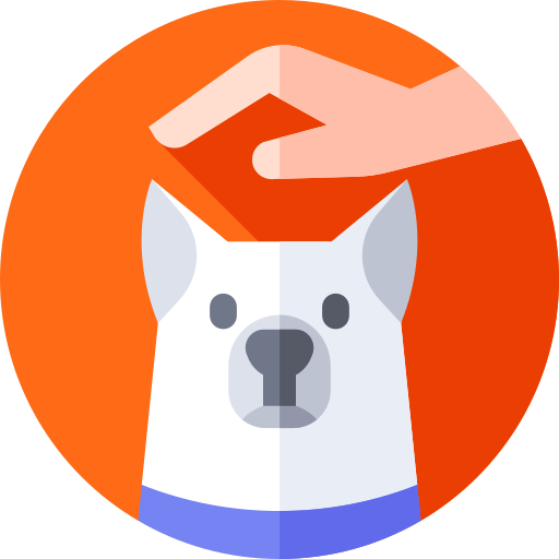 Dog training